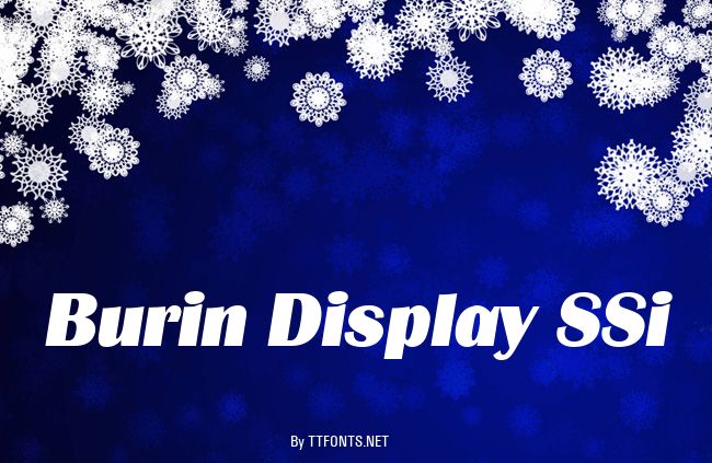 Burin Display SSi example